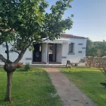 Bed & Breakfast Agliuledda Sara&luigi 3*