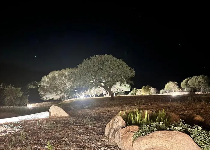 Sara&luigi Sant'Antonio di Gallura